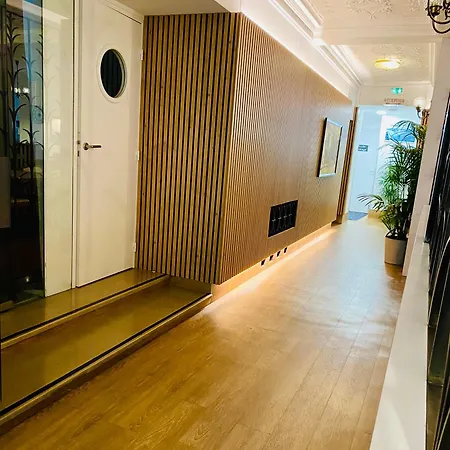 酒店 卢浮宫酒店 3*